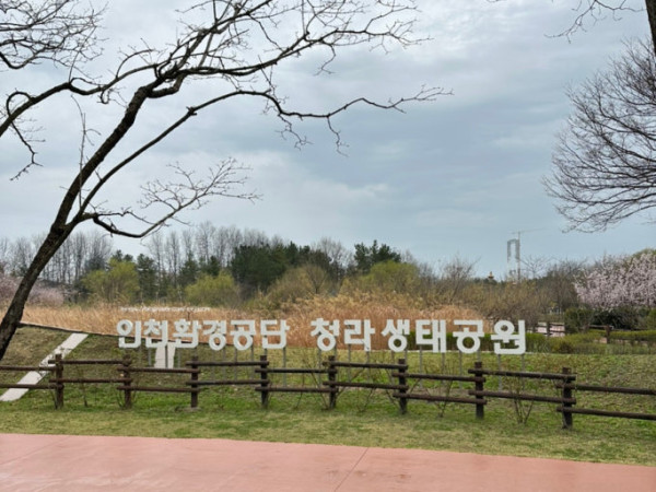 생태공원.jpeg